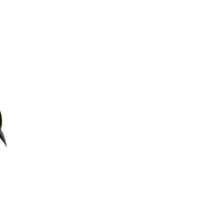Blackbird oiseau gris text blanc copie